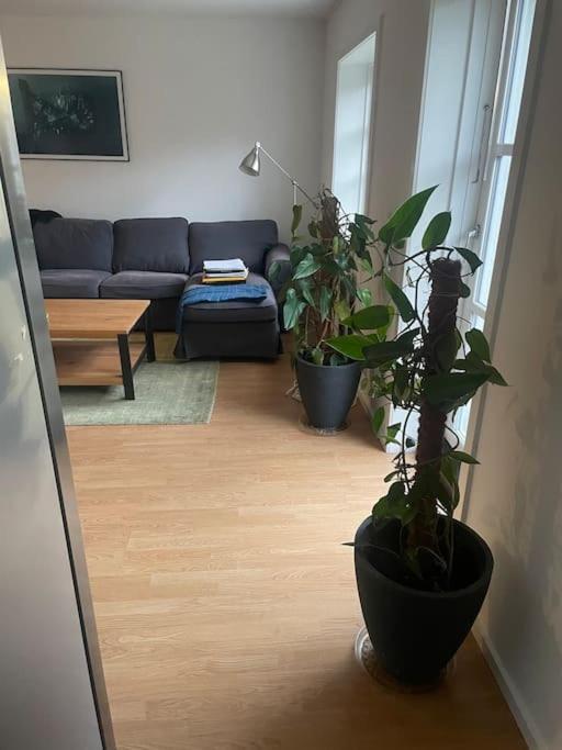 2 Bedroom Apartment Near The Sea Tisvildeleje Buitenkant foto